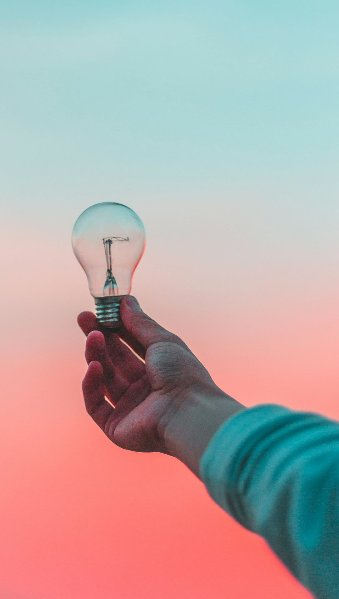person holding light bulb