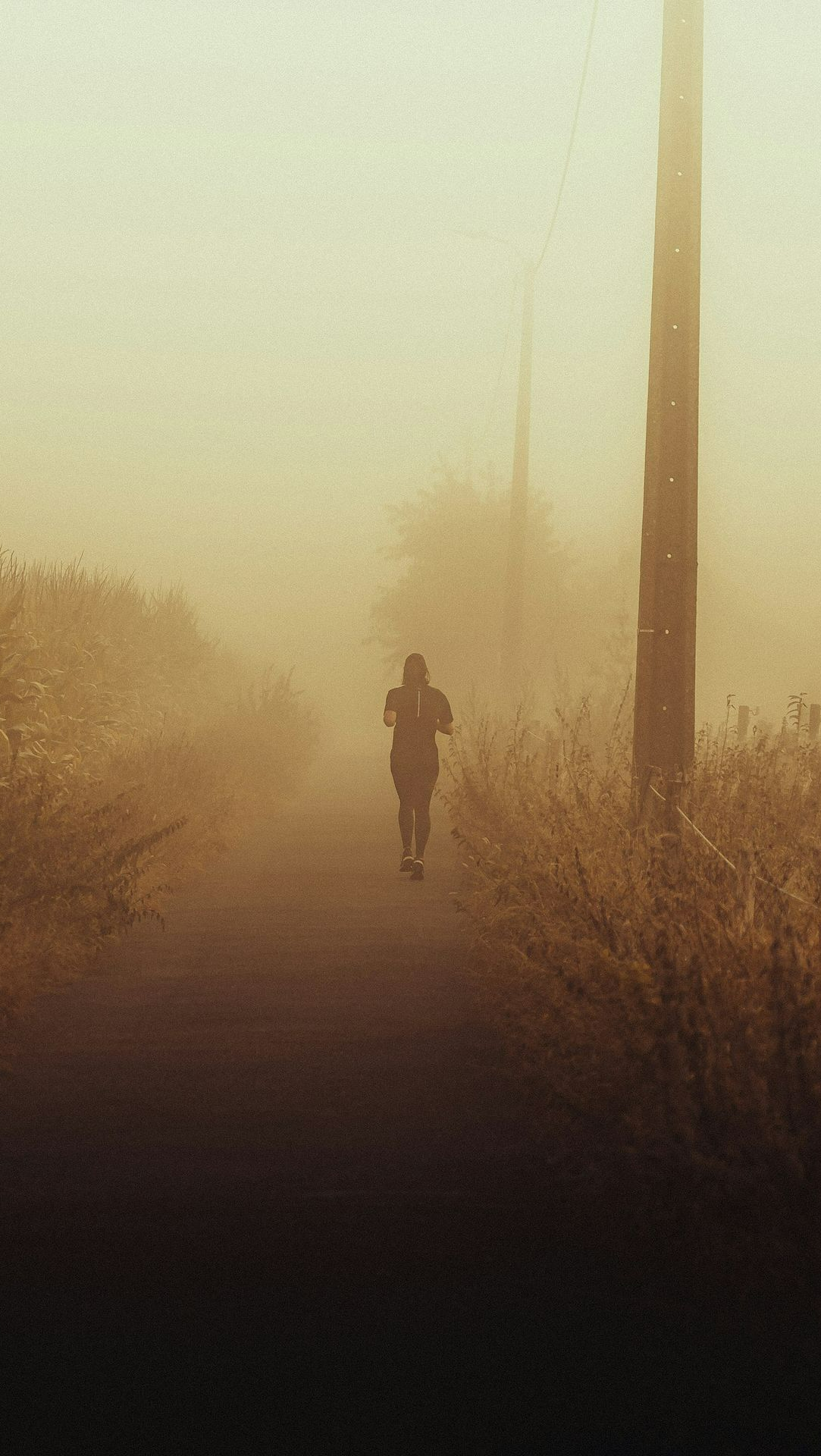 a person walking down a road in the fog